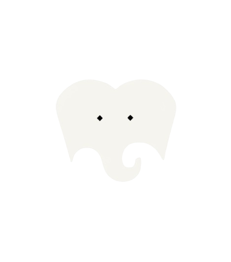 فیدیبو-removebg-preview